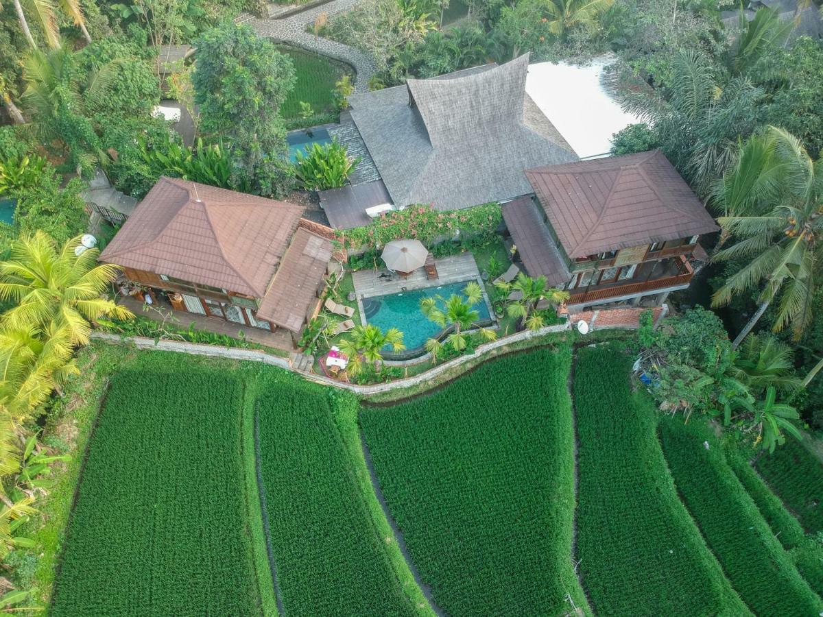 Gusde Tranquil Villas By Eps Ubud Zewnętrze zdjęcie